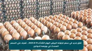تغيّر جديد في سعر كرتونة البيض اليوم الثلاثاء 19-8-2025.. تعرف على السعر المحدث في بورصة الدواجن